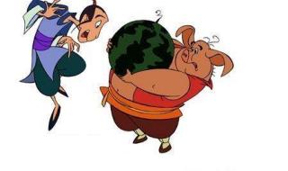 天上掉下一个猪八戒