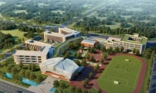 2020青岛滨海学院专科录取分数线 青岛大学专科分数线