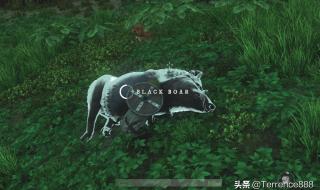 新世界如何出金 新世界分解装备