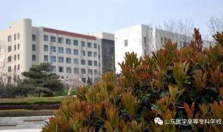 山东医学高等学校 山东医学高等学校