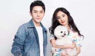 杨幂的新歌 杨幂的新歌