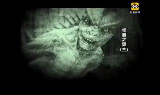 怪兽之谜大真探有一集是讲科莫多龙的 大侦探怪兽之谜全集